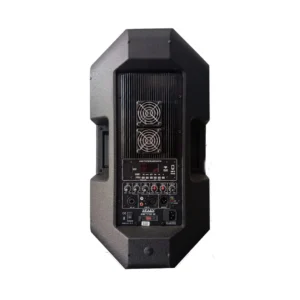 Cabina Activa SPAIN AUDIO ZETA 3 – Potencia, Claridad y Versatilidad: imagen 2