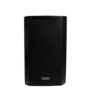 Cabina Pasiva Spain Audio B7P | Parlante Profesional de 15" y 350W RMS