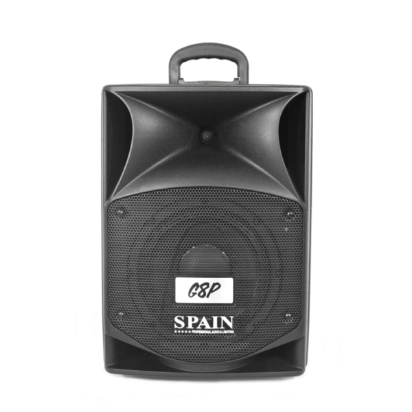 Cabina Pasiva Spain Audio G8P | Parlante Pasivo de 8" con Conexión Speakon